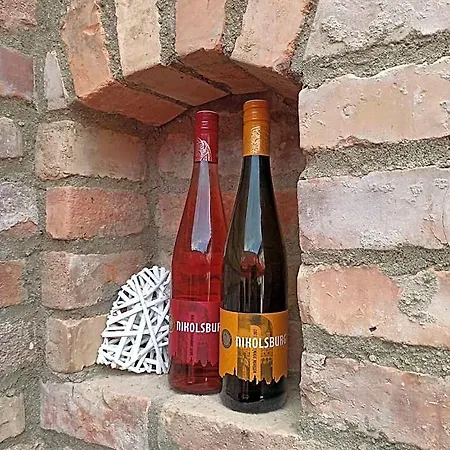 Alojamento de Acomodação e Pequeno-almoço Ubytování Němčičky 3*