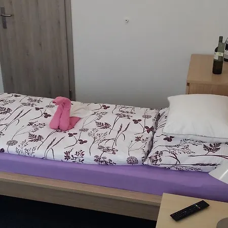 Bed and Breakfast Ubytovani Nemcicky 3*