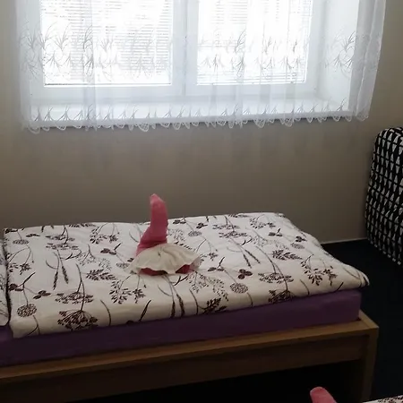 B&B Ubytovani Nemcicky 3*