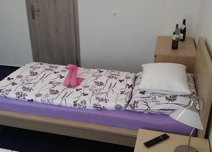 Bed & Breakfast Ubytování Němčičky 3*
